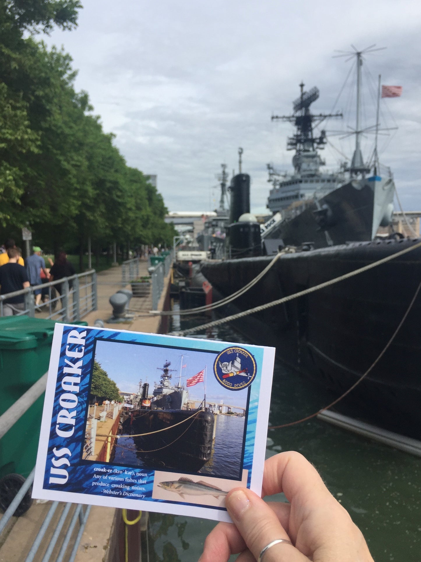 “All Hands on Deck” Note Card Set