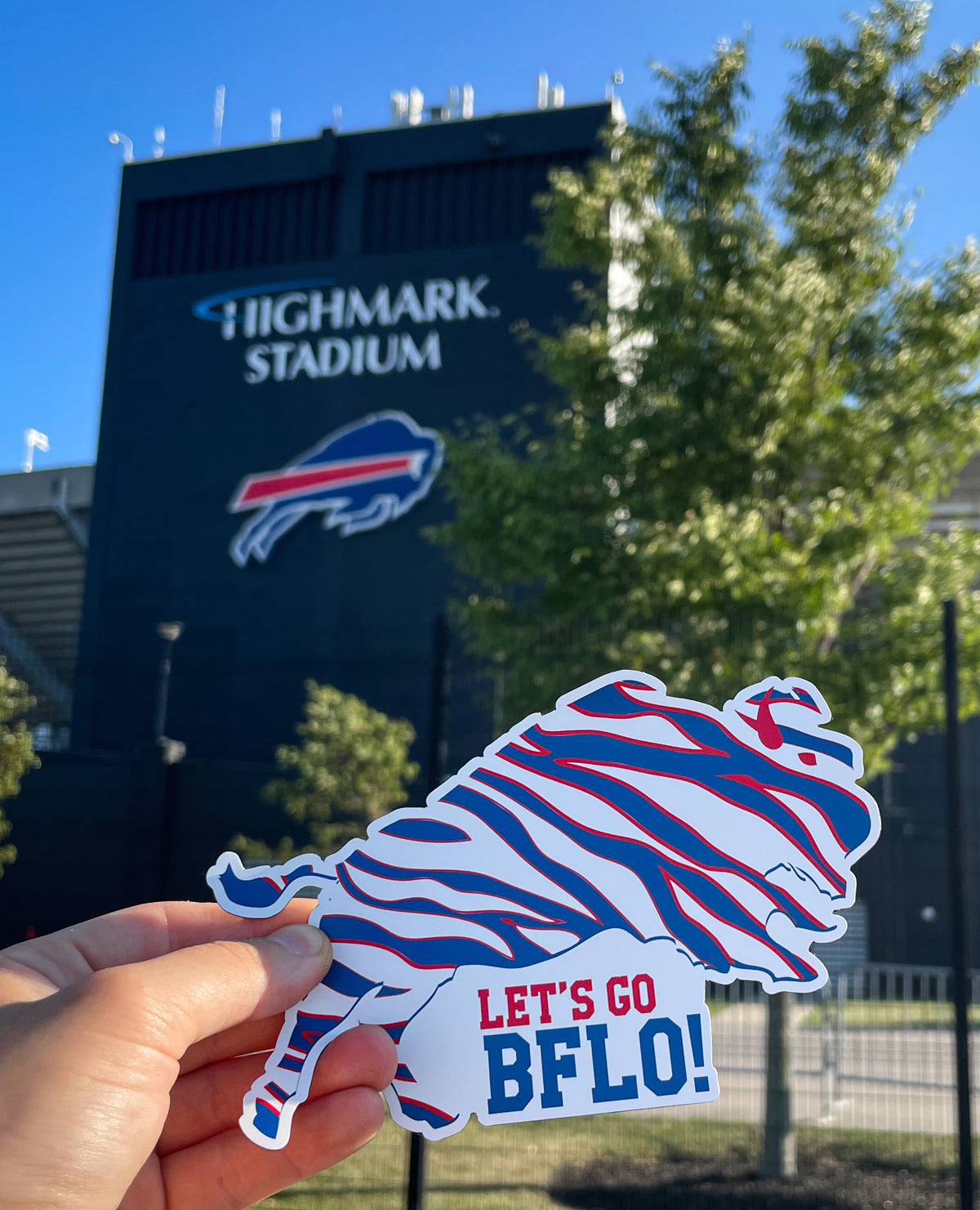 “Buffalo GO BFLO!” magnet