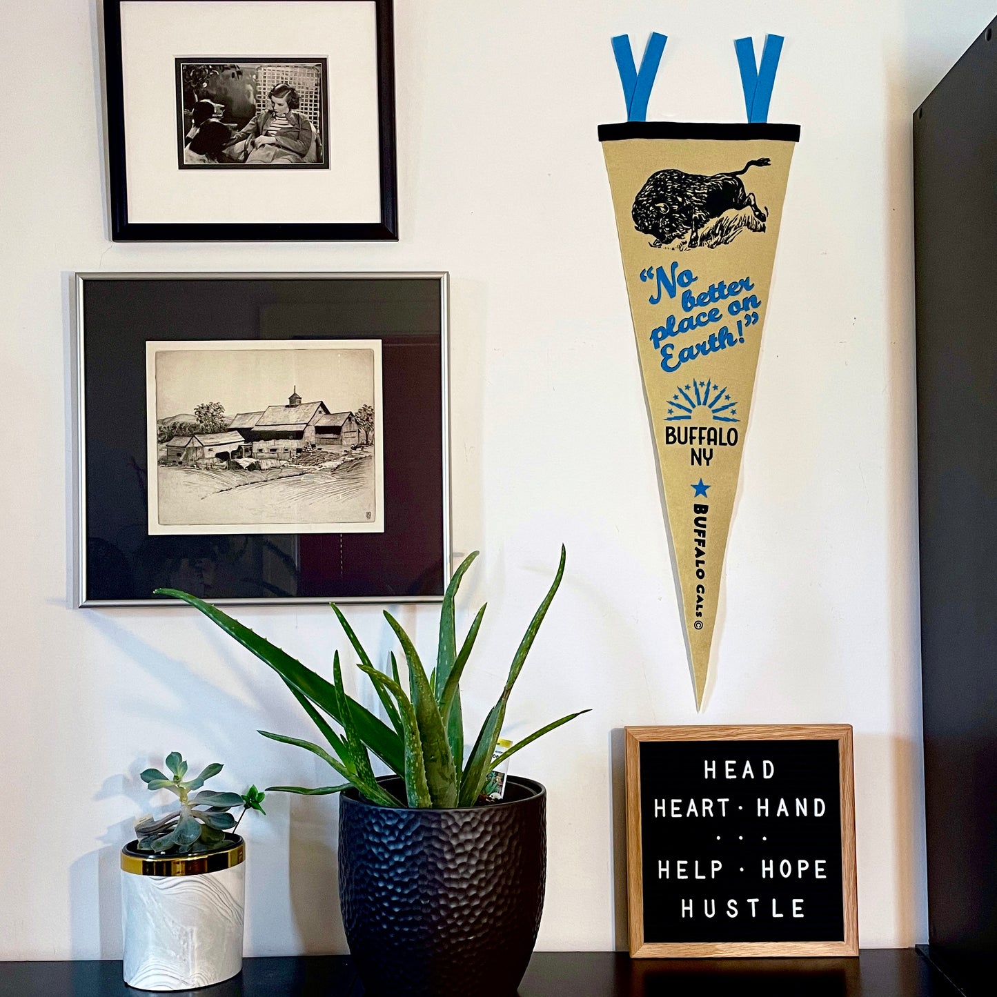 “Buffalo: No Better Place on Earth!™” pennant